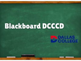 Blackboard DCCCD A Complete Guide To Make An Account in 2023