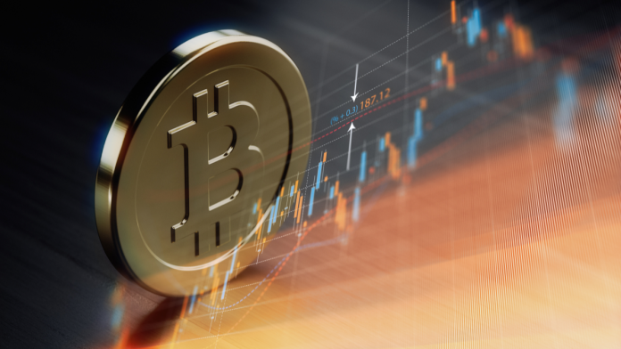 The Essential Guide to Bitcoin Trading Top 10 Insights