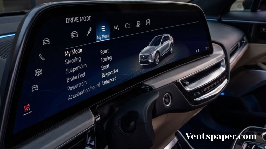 My Mode The Wildcard